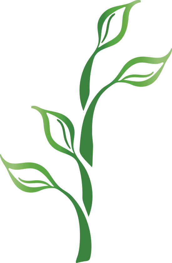 Plante stylisée